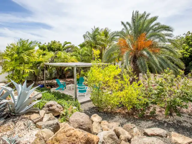 Vue du patio sur la pergola dans le jardin